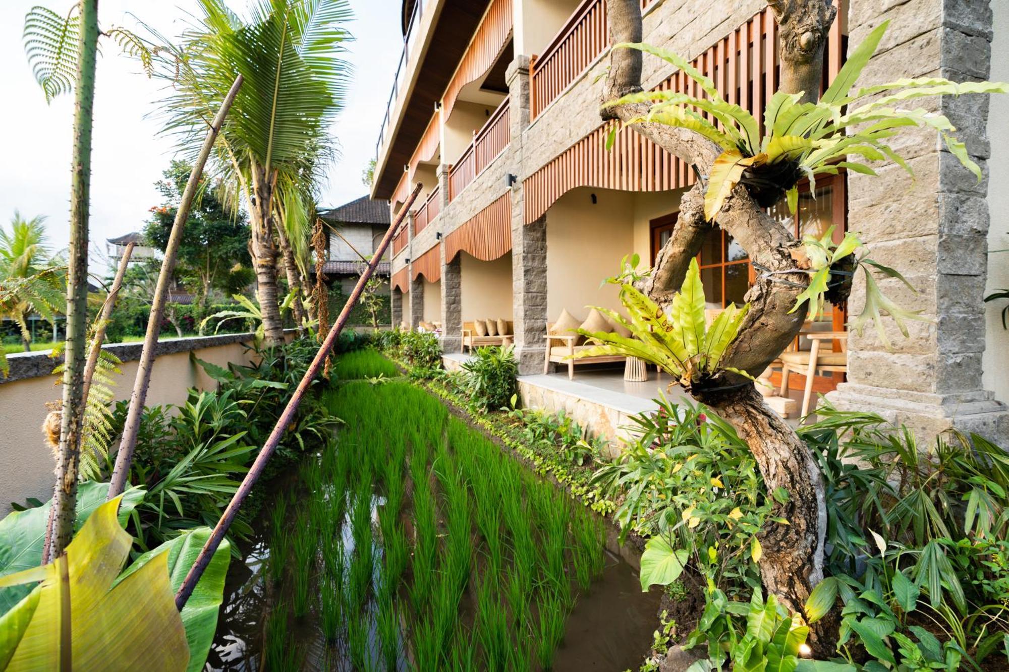Bliss Ubud Spa Resort ภายนอก รูปภาพ